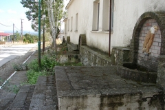 DSC06998