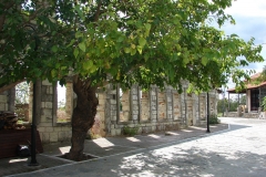 DSC07001