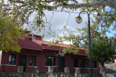 DSC07003