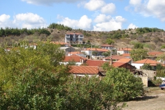 DSC07032