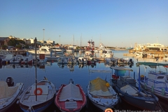 IMG_20200828_190753-01b