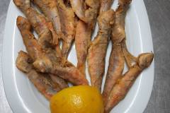 IMG-aa77d9e3043f61c5b6b0d8a4b771ef25-V