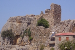 P8230091