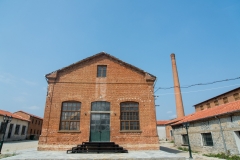 tzivre3