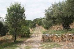 Μάκρη Αλεξανδρούπολης