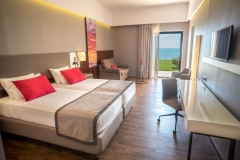 EXECUTIVE-ROOM-1