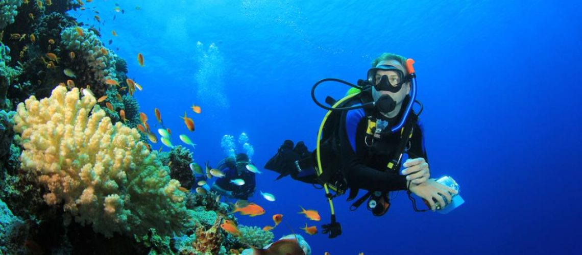 blog-generic-diving-68350-ws